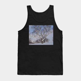 Snow on the branches Tank Top